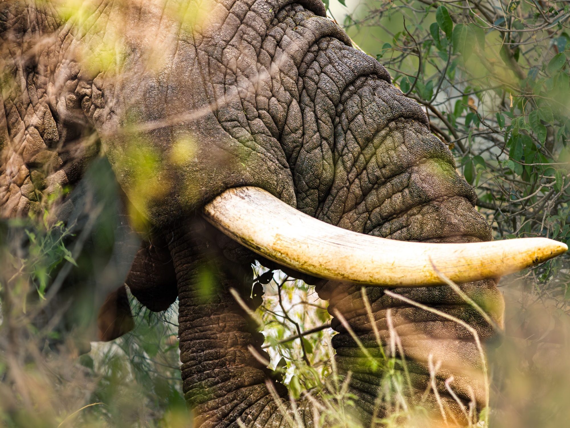 pexels-eric-kamoga-151630609-22618187 pexels-eric-kamoga-151630609-22618187